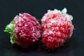 Frozen red raspberries isolated on black background Royalty Free Stock Photo