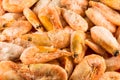 Frozen red shrimps. Shrimp in the ice. Close-up Royalty Free Stock Photo