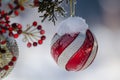 Frozen Red Striped Christmas Ornament Decorating a Snowy Outdoor Tree