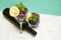 frozen red wine in two glass glasses decorated with a slice of lemon and lemon leaves and an empty glass bottle Royalty Free Stock Photo