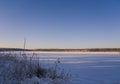 Frozen reeds in frost on the background of the expanse of a forest lake. Winter landscape with a frozen forest lake Royalty Free Stock Photo