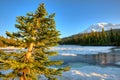 Frozen Reflection Lake and  Mount Rainier at sunrise, Mount Rainier National Park Royalty Free Stock Photo