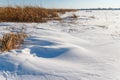 The frozen river with a dry cane on the island Royalty Free Stock Photo