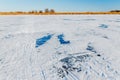 The frozen river with a dry cane on the island Royalty Free Stock Photo