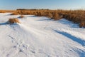 the frozen river with a dry cane on the island Royalty Free Stock Photo