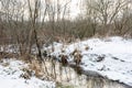 The Almost frozen river in forest after fresh snow with broked tree fallen across a riverbed