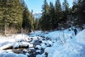 Frozen river in mercantour national park in French alps