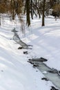 A frozen river in the park, snow lies along the banks and trees grow