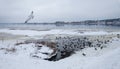 Frozen river and seagulls flying above the water. Winter landscape Royalty Free Stock Photo