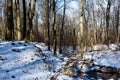 Frozen river snow woods, Spa-Geronstere, Belgium Royalty Free Stock Photo