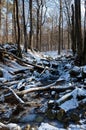 Frozen river snow woods, Spa-Geronstere, Belgium Royalty Free Stock Photo