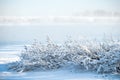 Frozen river and trees in hoarfrost