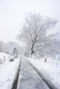 Frozen road in winter Royalty Free Stock Photo