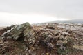 Frozen rock on mountain hill at Carpathians mountains.