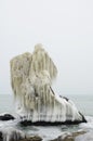 Frozen rock near the Seaside, Black Sea