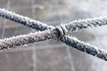 Frozen rope