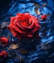 Frozen rose floating om water with dark moody lighting Royalty Free Stock Photo