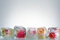 Frozen roses in ice cube Royalty Free Stock Photo
