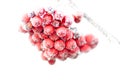 Frozen rowan berries