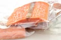Frozen salmon Royalty Free Stock Photo