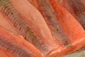 Frozen salmon fillets Royalty Free Stock Photo