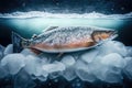 Frozen salmon on ice. AI generated