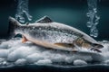 Frozen salmon on ice. AI generated