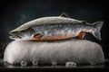 Frozen salmon on ice. AI generated