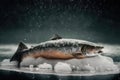 Frozen salmon on ice. AI generated