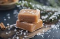 Frozen salted caramel Royalty Free Stock Photo