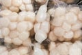 Frozen scallop meat in refrigerator to preserve its freshness Royalty Free Stock Photo