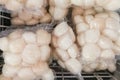 Frozen scallop meat in refrigerator to preserve its freshness Royalty Free Stock Photo