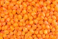 Frozen sea buckthorn berry. Top view, flat lay, copy space