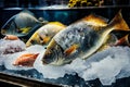 frozen sea fish on the ice counter illustration Generative AI