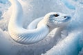 Frozen Serpent: A White Snake\'s Tale in the Antarctic Realm Royalty Free Stock Photo