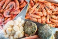 Frozen shells of the scallop, shrimps and crabs Royalty Free Stock Photo