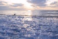 The frozen shore is covered with ice against the background of the sunset by the sea and the silhouette of a small bird