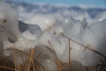 A frozen shore on the lake