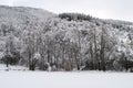 Frozen shore of the lake in winter