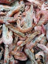 Frozen shrimp on the counter in the store. Semi-processed seafood and crustaceans. Seafood appetizer