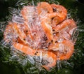 Frozen shrimp with ice cubes on a wood background Royalty Free Stock Photo