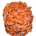 Frozen shrimp in ice glaze on white background Royalty Free Stock Photo