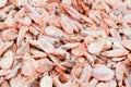 Frozen shrimp in market. Seafood in supermarket.Many shrimps in ice at restaurant kitchen. Healthy food for sushi. Selective focus Royalty Free Stock Photo