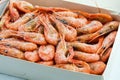 Frozen shrimp packaged Royalty Free Stock Photo