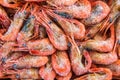 Frozen shrimp packaged Royalty Free Stock Photo