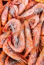 Frozen shrimp packaged Royalty Free Stock Photo