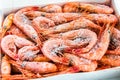 Frozen shrimp packaged Royalty Free Stock Photo