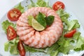 Frozen shrimp ring Royalty Free Stock Photo