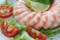 Frozen shrimp ring Royalty Free Stock Photo