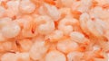 Frozen shrimps background. Top view